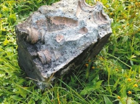 師生農(nóng)場(chǎng)撿石搭爐烤肉石塊中藏彈藥頭遇火爆炸