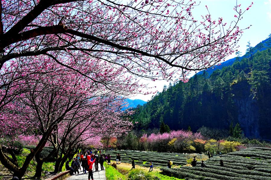 �����B(t��i)����1���_�������p�ѻ�