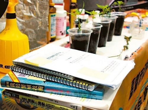 男子“用功過頭”買書鉆研園藝竟為種大麻(圖)