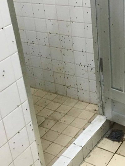 ��W(xu��)Ů��ԡ�����M�x �W(xu��)��������������ϴ�裨�D��