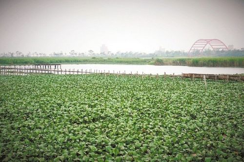 �������ӽM�F(tu��n)���~͵�B�����m 52�ם��׃�������ã�