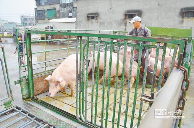 ��Ӣ���®��֌����i�M�ڑB(t��i)���Ʉ������x�i�r(n��ng)�P�Բ��ų����Ͻ��^�����DƬ��Դ���_�����Ї��r�󡷣�