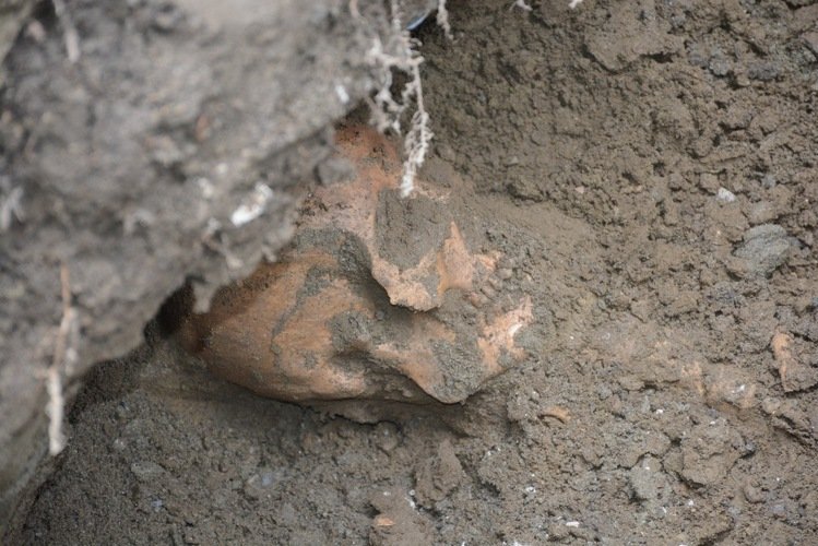 �_����ɏ��ˮ���ڳ�ǧ��Ǻ����D��