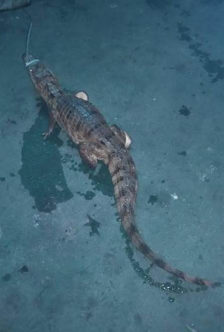 �_(t��i)�����F��^(q��)���g�@�F(xi��n)�{�~(y��) ���˞闉�B(y��ng)