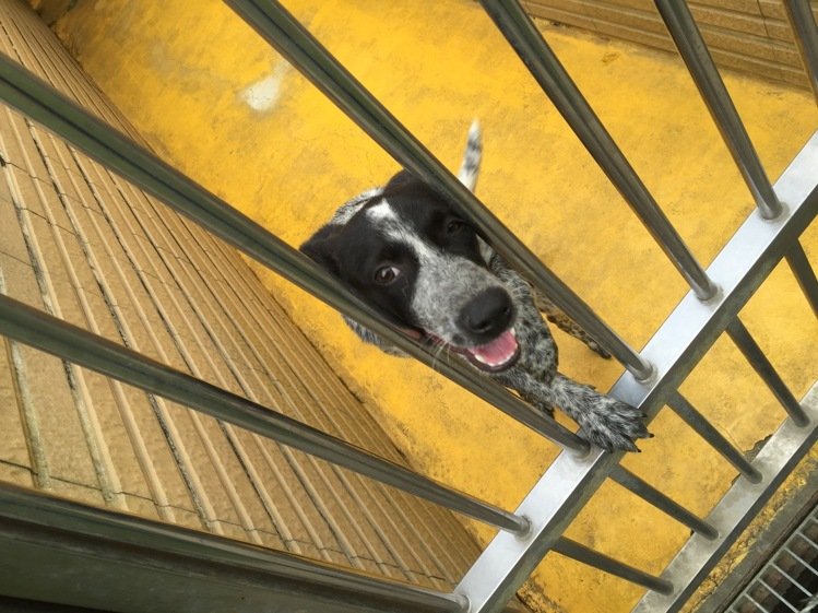 ��䚢���߼�����·�����^(gu��)�����˹���ԴԴ���^�����\(y��n)���ŵ�������(��i)�ę����Ĺ����ȴ��Ҽ������DƬ��(l��i)Դ���_(t��i)����(li��n)�ψ�(b��o)����