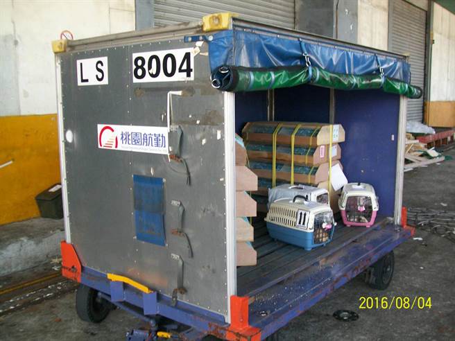 ��ǧֻĵ���B(ni��o)��3ֻ؈Ȯ���҈@���چT����ʧ����؛���л����������DƬ��(l��i)Դ���_(t��i)�����Еr(sh��)��ӈ�(b��o)����