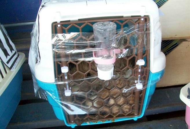 �����ˆT���z���̶�ˮƿ����(d��o)�¹��\ͨ�L(f��ng)���Ӑ��������DƬ��(l��i)Դ���_(t��i)�����Еr(sh��)��ӈ�(b��o)����