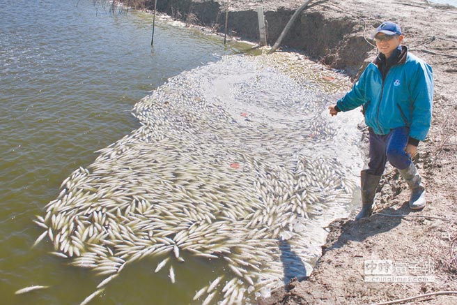 臺(tái)灣漁民擬登陸求合作被擋 揚(yáng)言與臺(tái)當(dāng)局“拼命” 臺(tái)灣漁民擬登陸求合作被擋 揚(yáng)言與臺(tái)當(dāng)局“拼命”