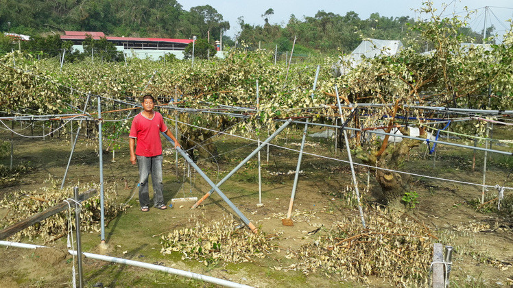 �����ೲ���r(n��ng)�K����17��һ�絽���@�쿴�ēp�����ҾW(w��ng)�ӱ����L�������W(w��ng)�ܺ͗���ȫ��A�������I�������޹��@���X���п��B��