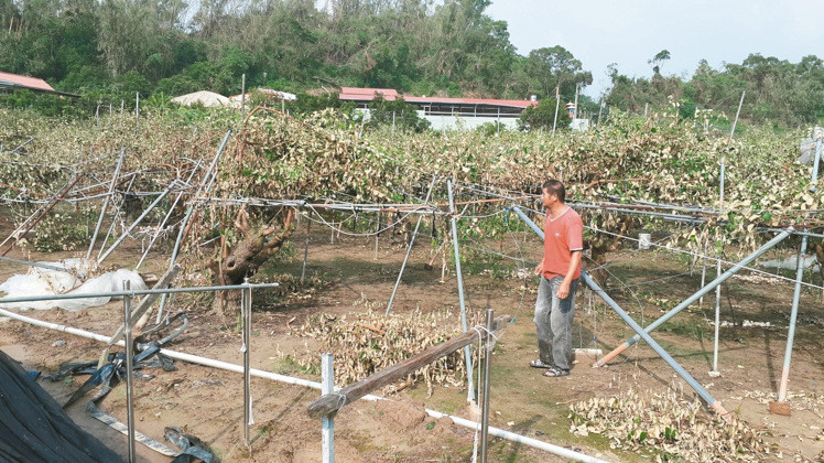 Ī�m���_�L(f��ng)�؄�(chu��ng)���r(n��ng) ȫ�_�r(n��ng)�p�ư˃|���_��