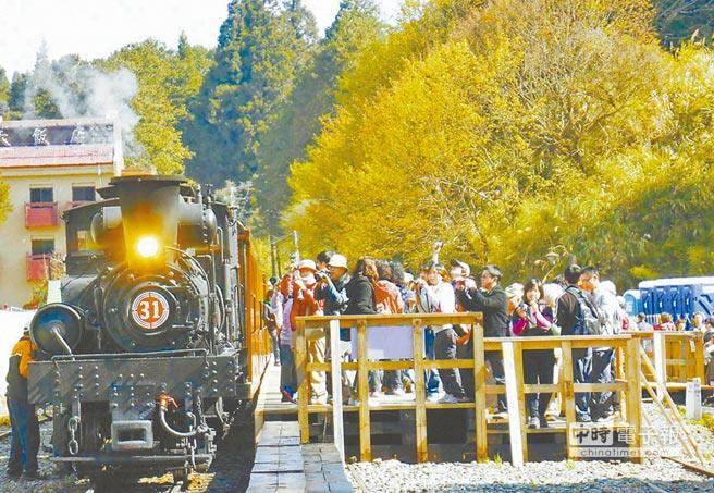 阿里山森林游樂區(qū)向來是陸客團(tuán)的最愛 阿里山森林游樂區(qū)向來是陸客團(tuán)的最愛