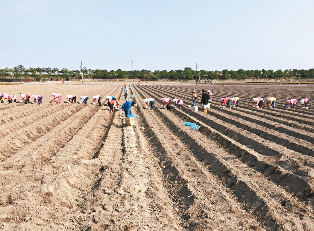 �_���֌�����W(xu��)���M�����r(n��ng)���� ÿ����ǧ�˾�ȱ��