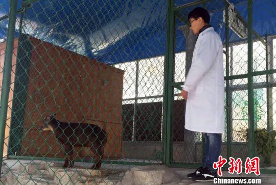 ����(w��n)ÿ������rѲҕ�����^��,�J���^�������О��B(t��i)������ɭ�� �z