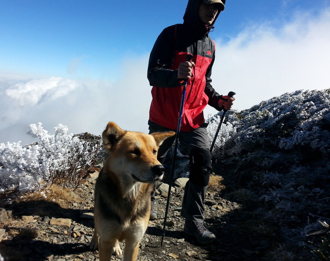 �_����ţ���˹� ��4000�׸߷��̫�