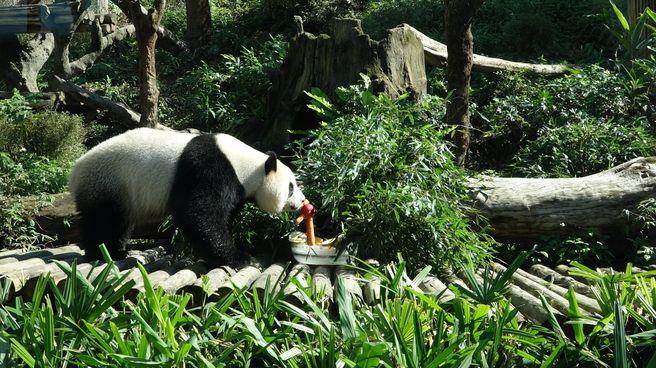 ���A�С������ز͵��ز����O�������}�����������C�C�^�����~��