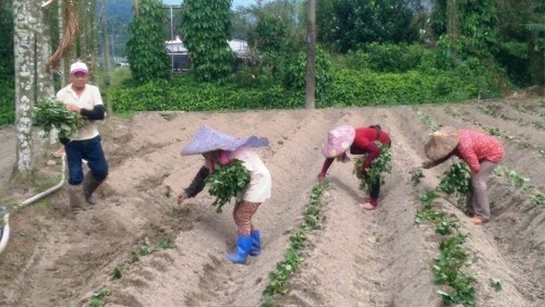 �r(n��ng)��@����������Ӱ���ɽ�عϴ������������ֻ���a(b��)ֲ���_(t��i)����(li��n)�ψ�(b��o)��ӛ�ߺ��������zӰ