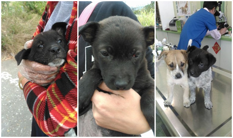 ���۬F(xi��n)׃�B(t��i)Ű��������Ȯ���������л�����