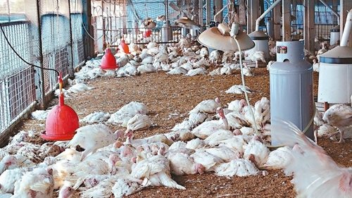 �_�������׻��u�������������и���ɓ䚢���_����(li��n)�ψ�ӛ���x�Mʢ���zӰ