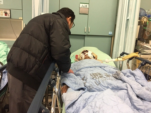 ��?zh��)������L(zh��ng)�����Ĵ���܂���66�q�s���~������܂���Ŀǰ���R(sh��)�����ӛ���S���ܣ����z