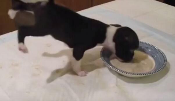 С�S�����ʩչ"�h����" �p�_�e�^�^180���D(zhu��n)��Ȧ