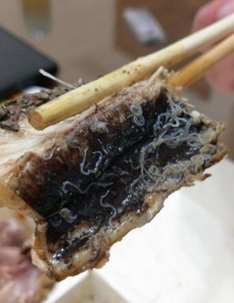 百元魚肚盒飯翻開“滿滿都是蟲” 網(wǎng)友:活尸末日 百元魚肚盒飯翻開“滿滿都是蟲” 網(wǎng)友:活尸末日