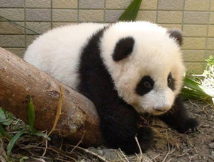 �A�о�����ײ�Ϙ�� �_�W(w��ng)������Ҫ�o��������.jpg