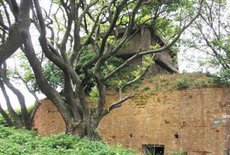 �҈@���ճ��_(k��i)�l(f��)�֚�����(zh��n)�z�E �W(xu��)�ߓ�(d��n)�n(y��u)