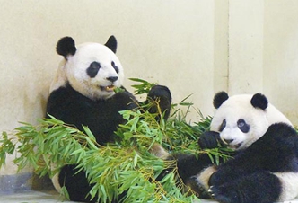 �A�п����~�Ԅ�(chu��ng)����Ęʽ���Է� ߅��߅��Ę