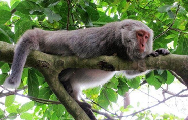 �_(t��i)��(d��ng)�֞鱣�o(h��)�r(n��ng)�������C���J�� ��������(gu��)�HЦԒ��