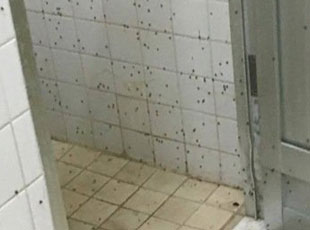 ��W(xu��)Ů��ԡ�����M�x �W(xu��)������ϴ�臘������