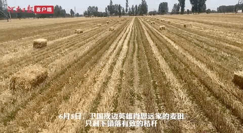 Ф˼�h��ĸ��ɶ͵͵�������������ǡ���