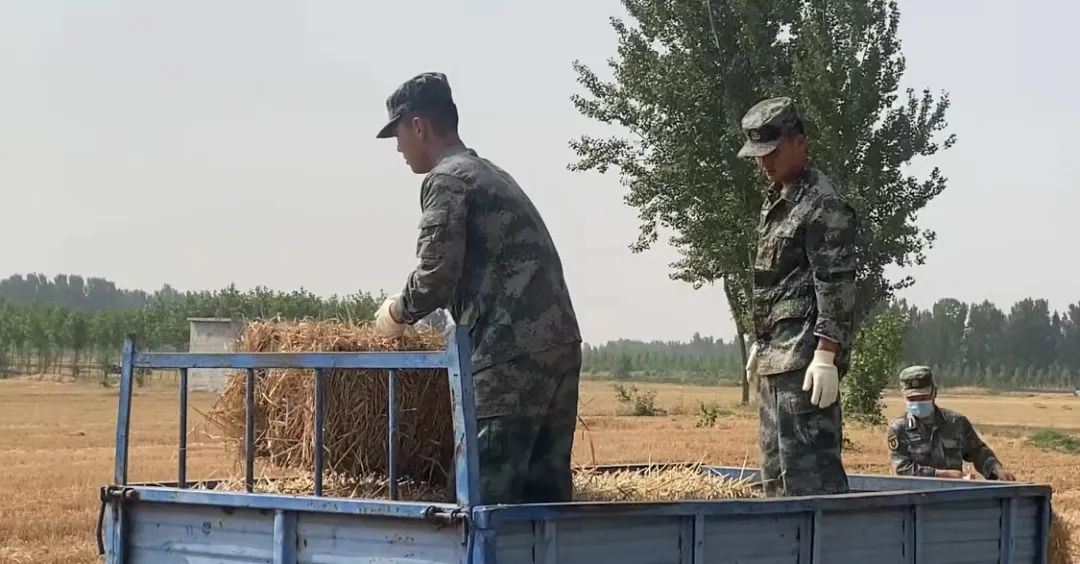 Ф˼�h��ĸ��ɶ͵͵�������������ǡ���