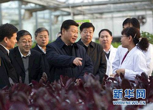 2013��11��27�����磬��(x��)��ƽ��ɽ�|ʡ�r(n��ng)�I(y��)�ƌW(xu��)Ժ���ܻ������˽��r(n��ng)�I(y��)�Ƽ���(chu��ng)����r�� ���A��ӛ���x�h(hu��n)�Y �z