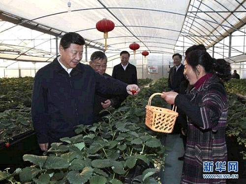 2014��12��13����������(x��)��ƽ���(zh��n)���е�ͽ�^(q��)���I(y��)�(zh��n)���h���r(n��ng)�I(y��)�@��ݮ�����(sh��)�ز쿴��ݮ���L��r�����A��ӛ�� �m�t�� �z