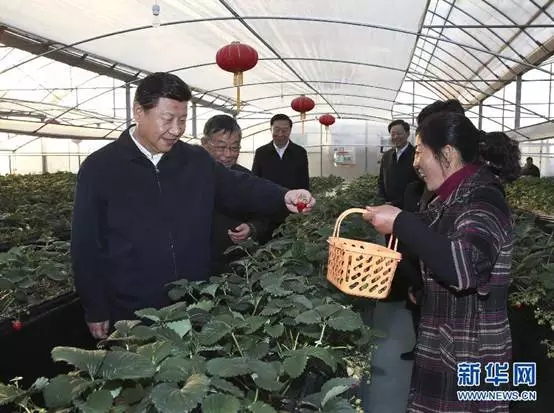 “平語”近人——習(xí)近平的“三農(nóng)觀” “平語”近人——習(xí)近平的“三農(nóng)觀”