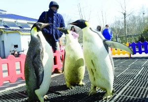 �������u���֙C(j��)�Ԅ�(d��ng)�P(gu��n)�C(j��) ���Z�����̫�(�D)