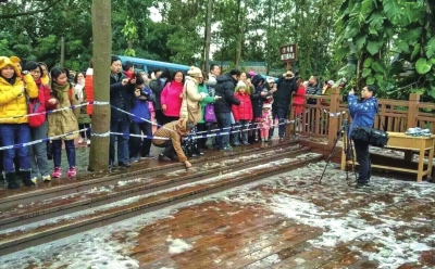 罕見(jiàn)寒潮致部分地區(qū)受災(zāi) 蔬菜噴防凍液仍被凍爛 罕見(jiàn)寒潮致部分地區(qū)受災(zāi) 蔬菜噴防凍液仍被凍爛