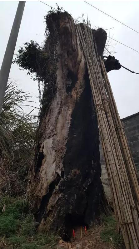 ����(j��ng)�ą��������ֻʣ�ݺڵĘ��