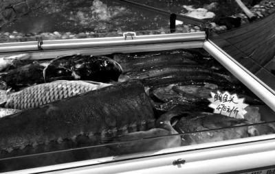      2��16�գ��~�չʾ����������һ��(g��)�Sɫ�����r(ji��)�����ڹP�֌����m�~�^498Ԫ/���