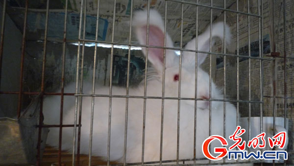 【網(wǎng)絡(luò)媒體走轉(zhuǎn)改】淶水縣精準(zhǔn)扶貧甩掉“窮帽子”