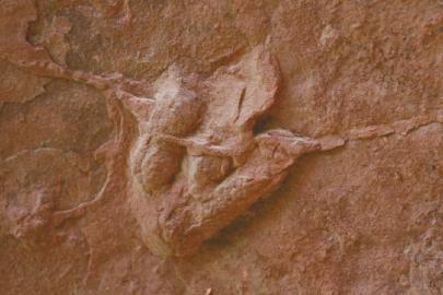 ���������Ŀ������E��