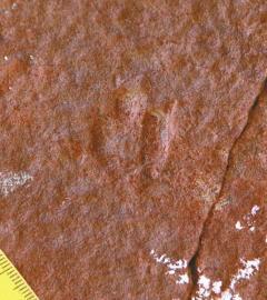 ��С�Ŀ������E��