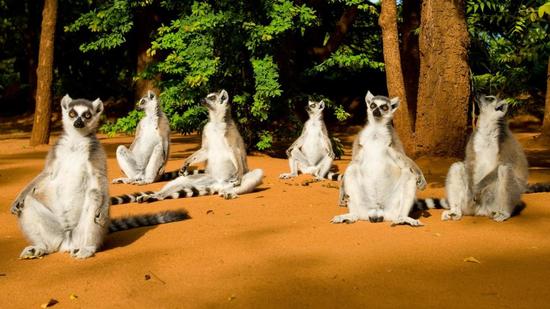 ���ϳ���3400�f��ǰ��ʯ ���`�L��M(j��n)���P(gu��n)�I�A��