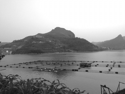 �V�����h��(sh��)ǧ�f��^(q��)�����������Ƿ�Ų��