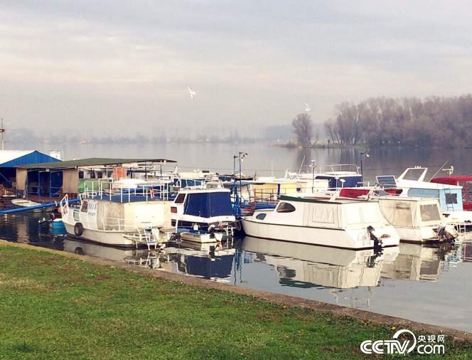 �����_�ߺ�