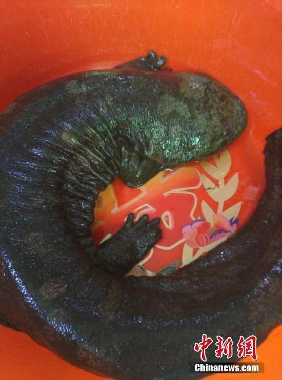 ���C��جF(xi��n)���͡������~(y��)�� ���g��80���q(�D)