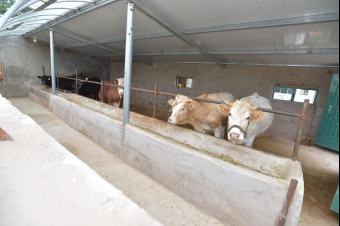 ��(x��)����ӛ��ԭ�С����ߺ��µ��L(zh��ng)��·