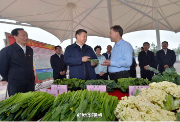 ��(x��)����ӛ��ԭ�С����ߺ��µ��L(zh��ng)��·