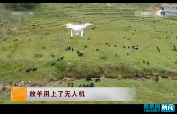 ʹ�ßo(w��)�˙C(j��)�������Y�ψD��