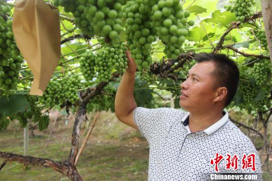 �F�ݣ����ڡ��L�塱�a���r(n��ng)���̰塱�����ؚ��ˮ